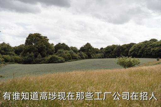 有誰知道高埗現在那些工廠公司在招人
