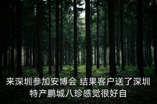 深圳安博會 怎么樣，深圳佰特利怎么樣好嗎