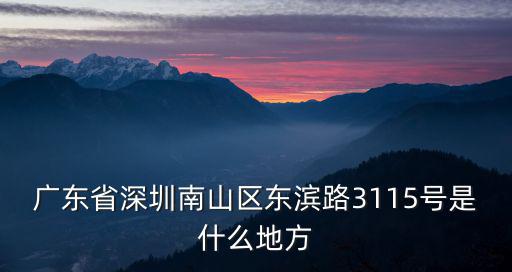 廣東省深圳南山區(qū)東濱路3115號是什么地方