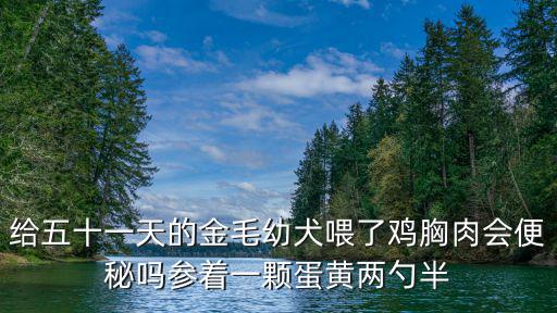 給五十一天的金毛幼犬喂了雞胸肉會(huì)便秘嗎參著一顆蛋黃兩勺半