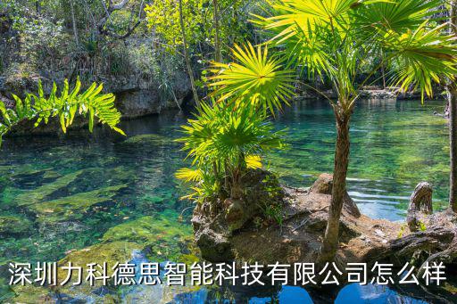 深圳力科德思智能科技有限公司怎么樣