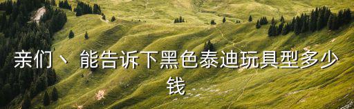 親們丶 能告訴下黑色泰迪玩具型多少錢