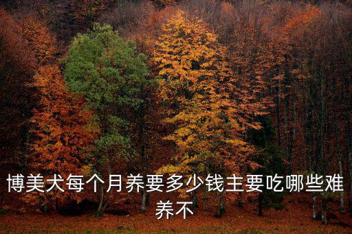 博美犬每個(gè)月養(yǎng)要多少錢(qián)主要吃哪些難養(yǎng)不