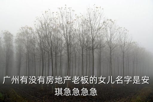 廣州有沒有房地產老板的女兒名字是安琪急急急急
