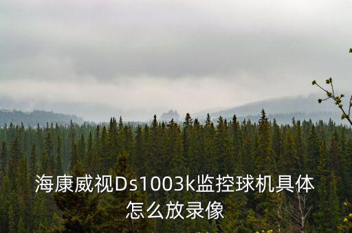 海康威視Ds1003k監控球機具體怎么放錄像