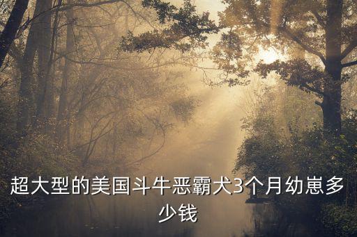 超大型的美國斗牛惡霸犬3個月幼崽多少錢