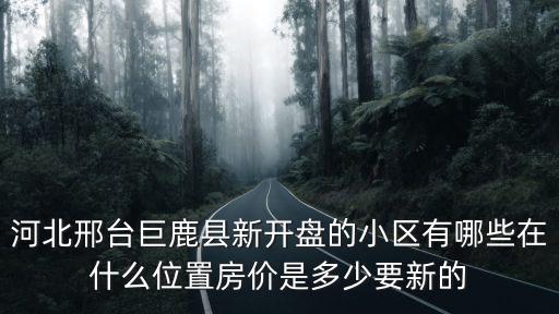 邢臺有哪個小街區的房價，請問河北省邢臺市2000年的時候現在的橋西教委附近 房價是多少錢一