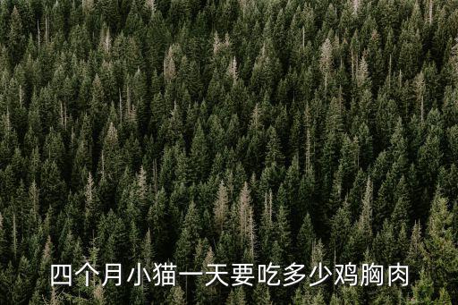 四個月小貓一天要吃多少雞胸肉