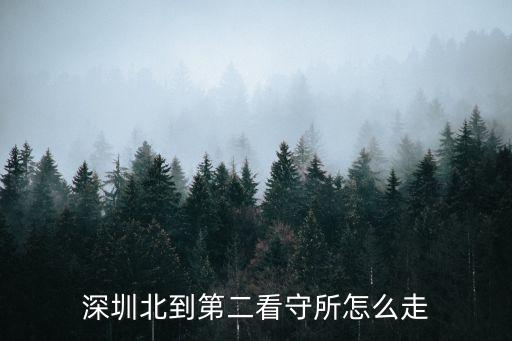 深圳北到第二看守所怎么走