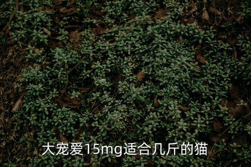 大寵愛15mg適合幾斤的貓