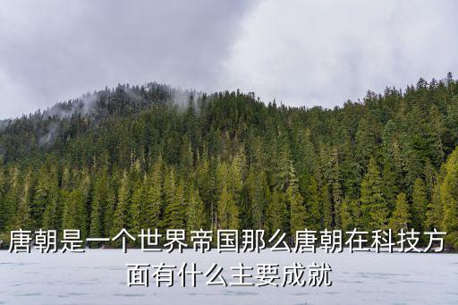 唐朝是一個世界帝國那么唐朝在科技方面有什么主要成就