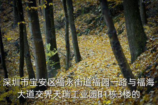 深圳市寶安區(qū)福永街道福園一路與福海大道交界天瑞工業(yè)園B1棟3樓的