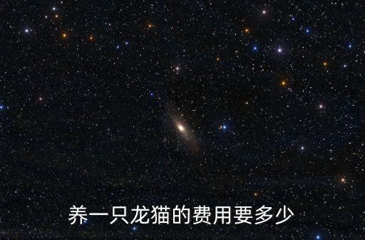 養一只龍貓的費用要多少