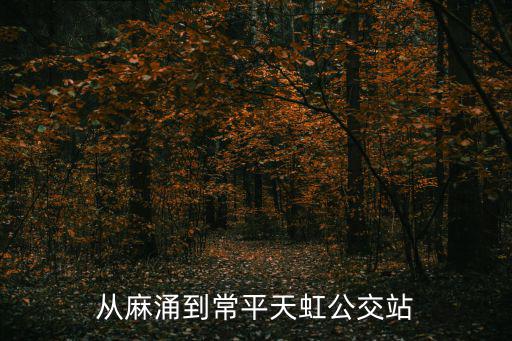 從麻涌到常平天虹公交站