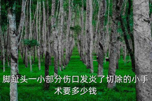 腳趾頭一小部分傷口發炎了切除的小手術要多少錢