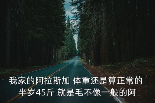 我家的阿拉斯加 體重還是算正常的 半歲45斤 就是毛不像一般的阿