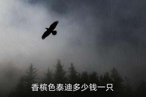 香檳色泰迪多少錢(qián)一只
