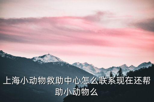 上海小動物救助中心怎么聯系現在還幫助小動物么