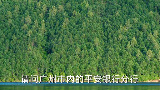 請問廣州市內的平安銀行分行