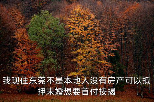 我現住東莞不是本地人沒有房產可以抵押未婚想要首付按揭