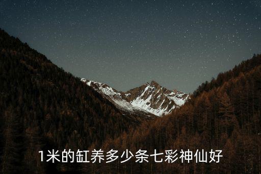 1米的缸養多少條七彩神仙好