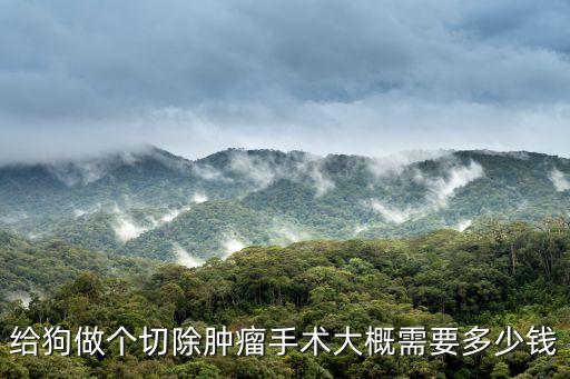 狗狗肉瘤做穿刺多少錢，給狗做個切除腫瘤手術大概需要多少錢