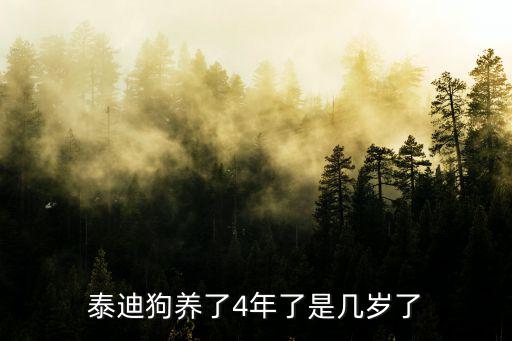 泰迪狗養了4年了是幾歲了
