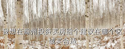 我想在滁州投資買房給個建議在哪個區域買合適