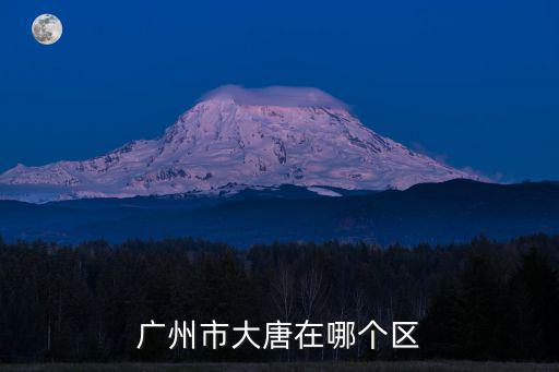 廣州市大唐在哪個區