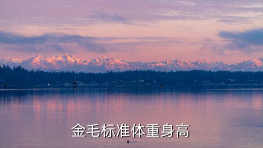 金毛標準體重身高