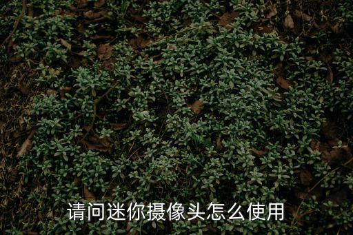 請問迷你攝像頭怎么使用
