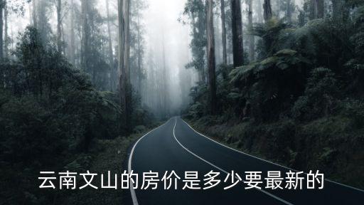 云南文山的房?jī)r(jià)是多少要最新的