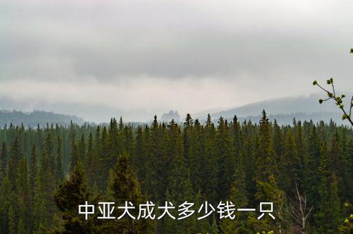 中亞成年犬多少錢一只，中亞犬成犬多少錢一只