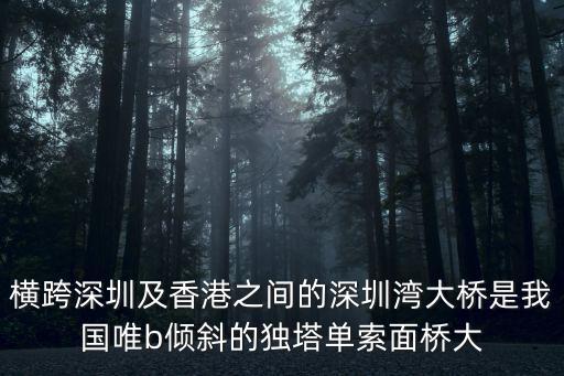 橫跨深圳及香港之間的深圳灣大橋是我國(guó)唯b傾斜的獨(dú)塔單索面橋大