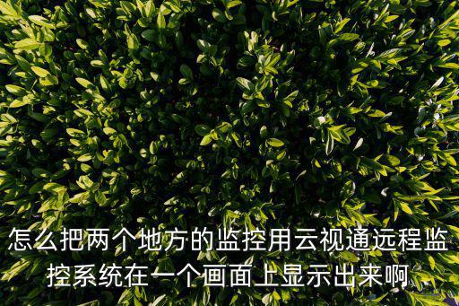 怎么讓云視通上線，中維8路硬盤錄像機 手機能遠程 電腦卻遠程不了啊 我在官網下載了