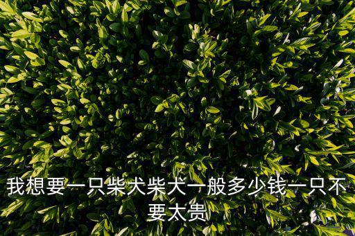 日本一只柴犬多少錢，養一只柴犬需要花費多少價格