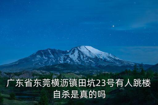廣東省東莞橫瀝鎮田坑23號有人跳樓自殺是真的嗎