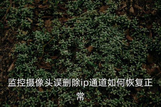 監控攝像頭誤刪除ip通道如何恢復正常