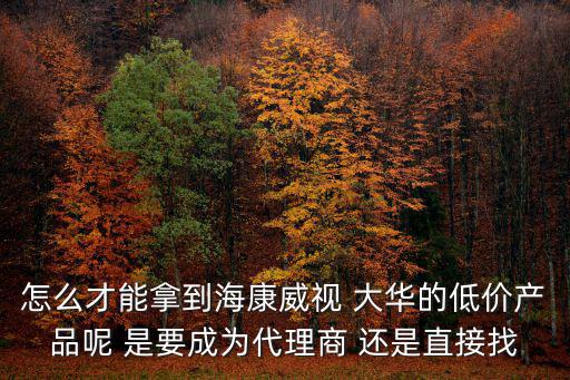 怎么才能拿到海康威視 大華的低價產品呢 是要成為代理商 還是直接找