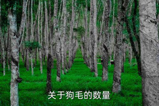 關于狗毛的數量