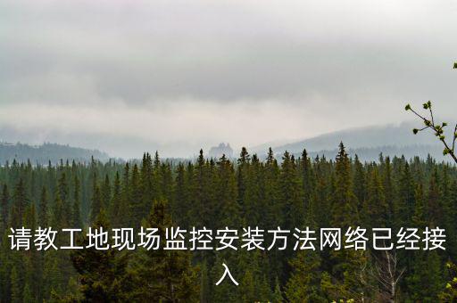 請教工地現(xiàn)場監(jiān)控安裝方法網絡已經接入