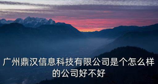 廣州鼎漢信息科技有限公司是個怎么樣的公司好不好