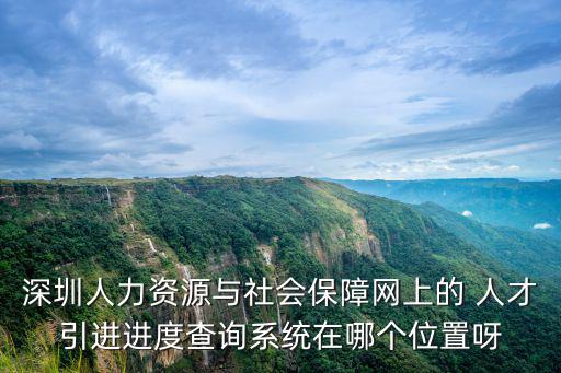 深圳人力資源與社會保障網上的 人才引進進度查詢系統在哪個位置呀