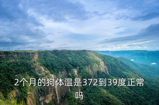2個月的狗體溫是372到39度正常嗎