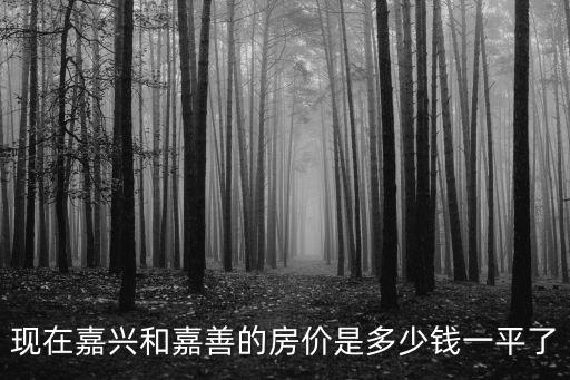 嘉興嘉善房價(jià)哪個(gè)貴，現(xiàn)在嘉興和嘉善的房價(jià)是多少錢一平了