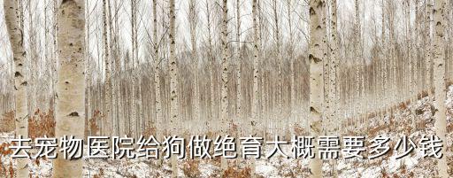 寧德邊牧絕育多少錢，去寵物醫(yī)院給狗做絕育大概需要多少錢