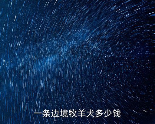 一條邊境牧羊犬多少錢
