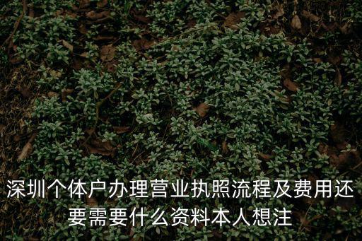 深圳個體戶辦理營業執照流程及費用還要需要什么資料本人想注