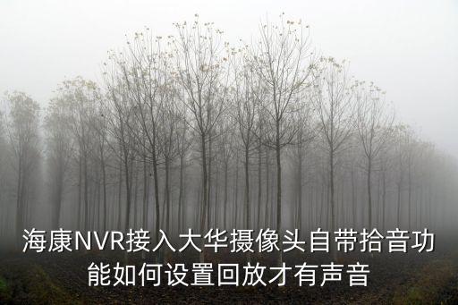 大華硬盤錄像機怎么播放音頻，海康NVR接入大華攝像頭自帶拾音功能如何設置回放才有聲音