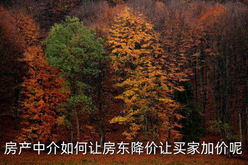 房產中介如何讓房東降價讓買家加價呢